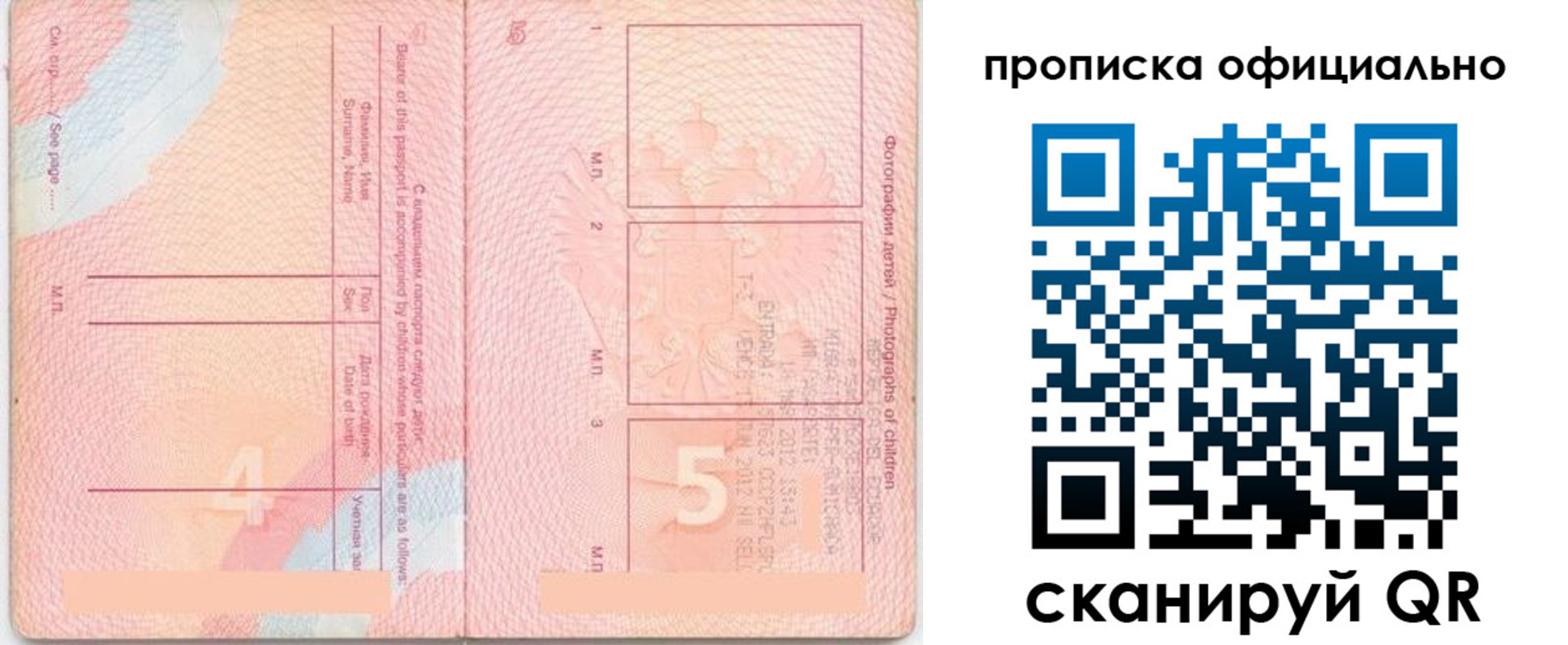 прописка для школы в Чкаловске